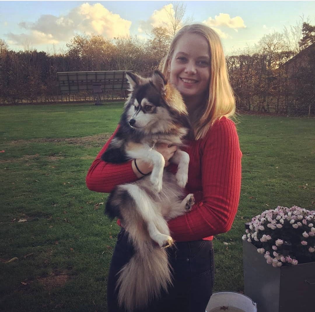 Kristien Over ons HondenHotel
