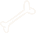 bone